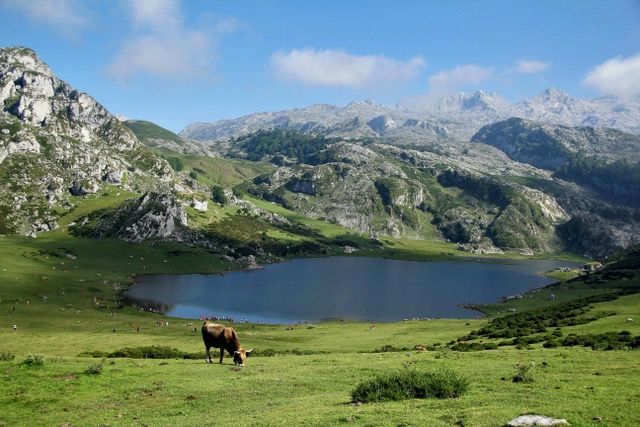 Lagos de Covadonga y Picos de Europa
